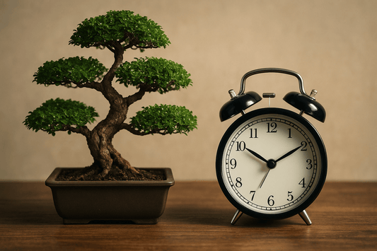 How Long Does It Take to Grow Bonsai Trees? A Beginner’s Timeline - Bonsai Barn Shop