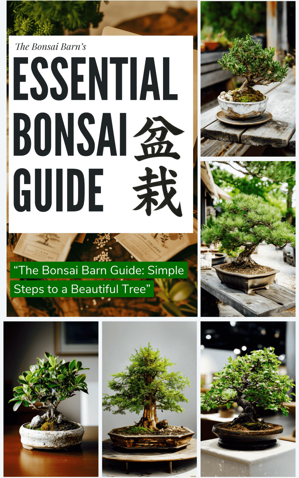 The Essential Bonsai Guide - (eBook) - Bonsai Barn Shop
