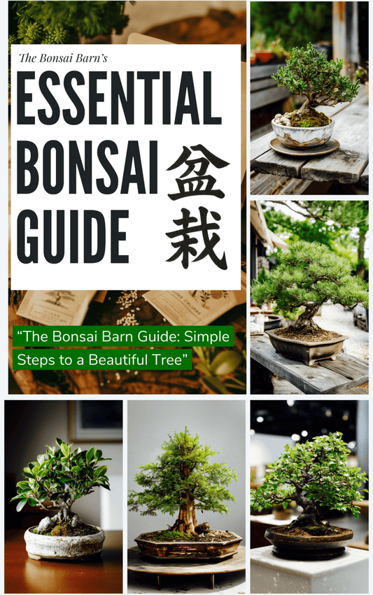 The Essential Bonsai Guide - (eBook) - Bonsai Barn Shop