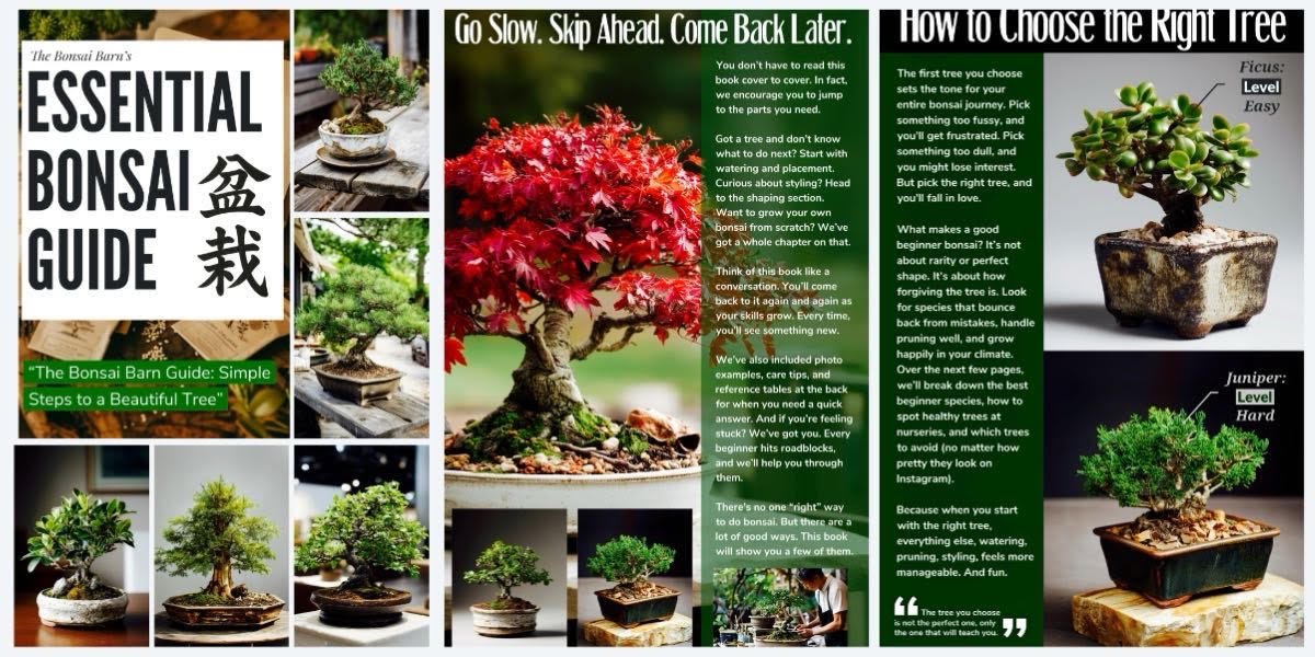 The Essential Bonsai Guide - (eBook) - Bonsai Barn Shop