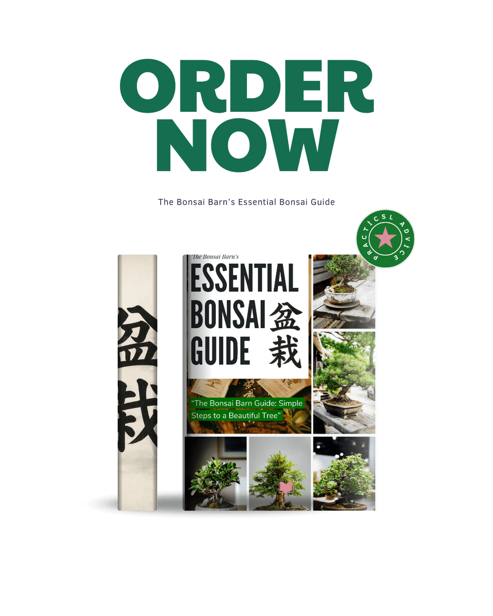 The Essential Bonsai Guide - (eBook) - Bonsai Barn Shop