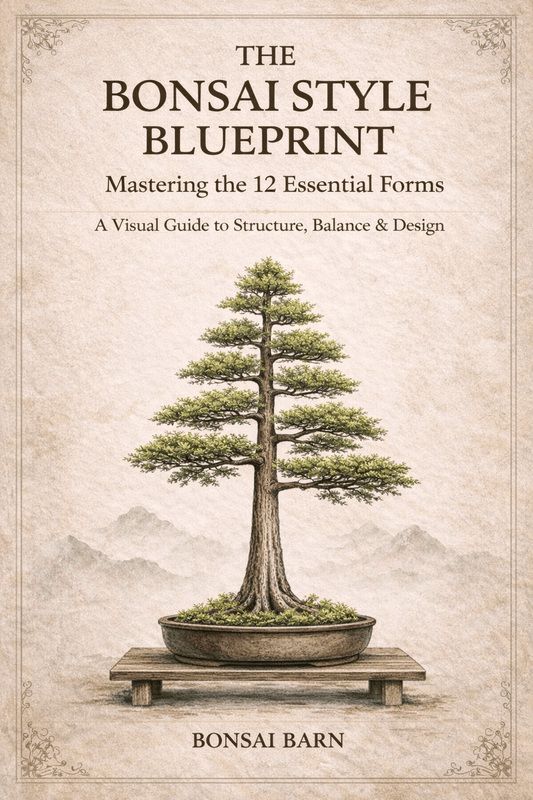 The Bonsai Style Blueprint Master the 12 Essential Bonsai Forms - Bonsai Barn Shop
